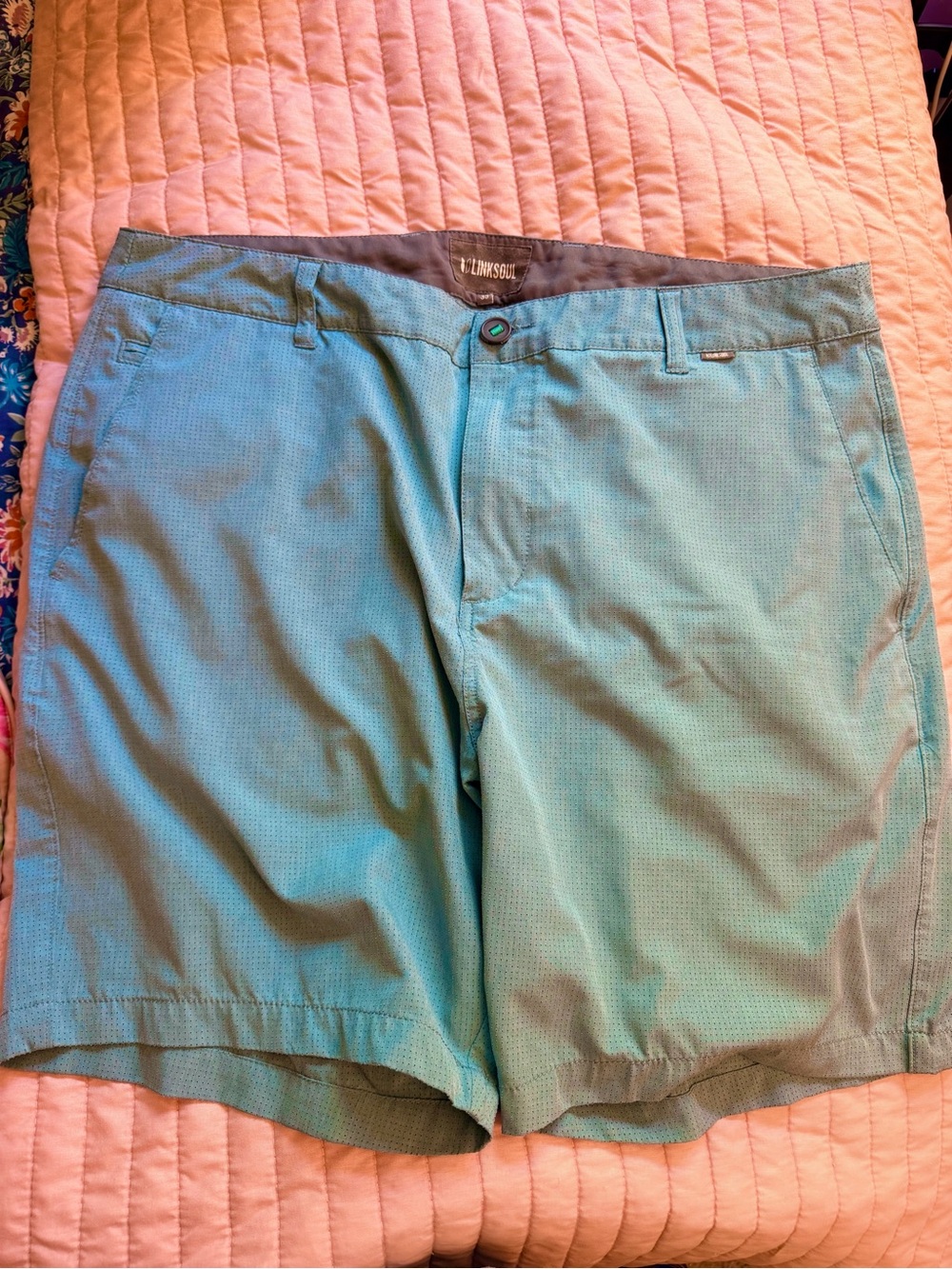 Linksoul Blue Flat-Front Men's Shorts